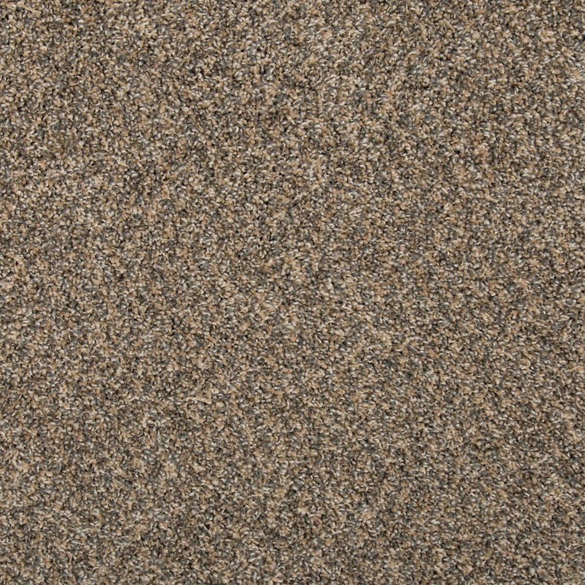 Remodeled III in Flannel Carpet