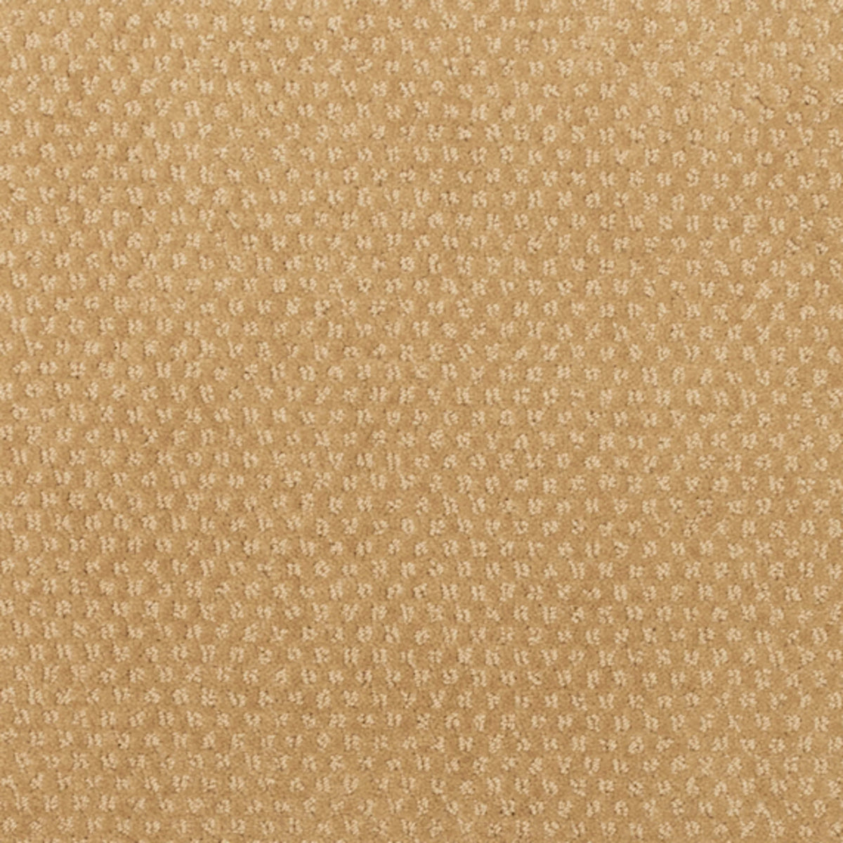 Greenwich Design in Chateau Carpet
