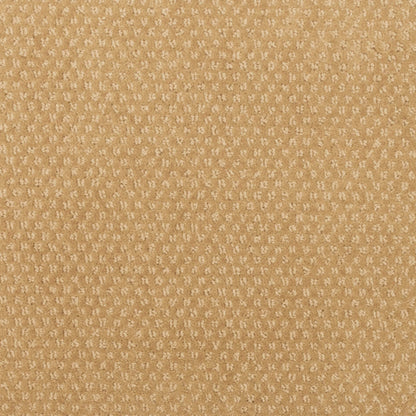 Greenwich Design in Chateau Carpet