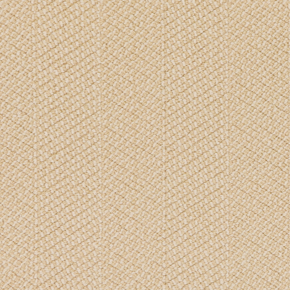 Stitchery in Emilio Carpet