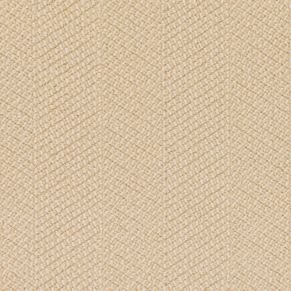Stitchery in Emilio Carpet