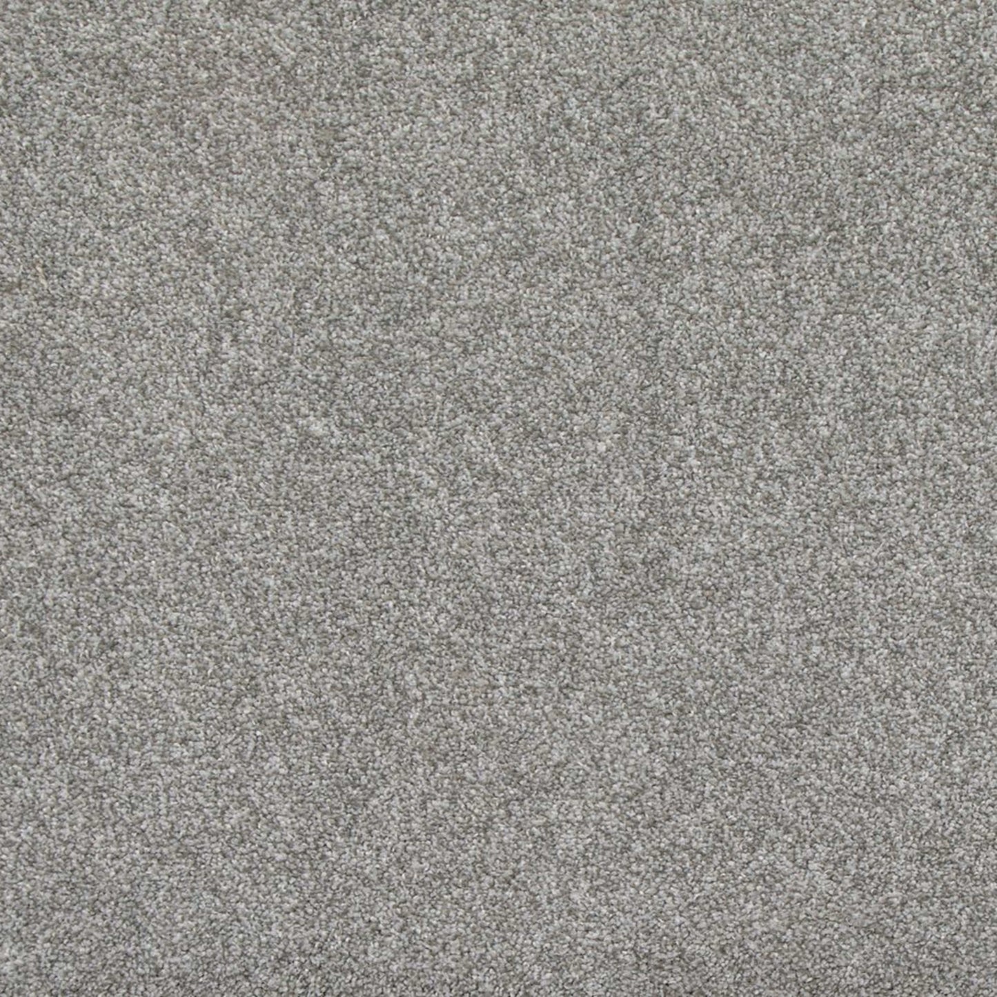 Timeless Saga II in Misty Moonlight Carpet