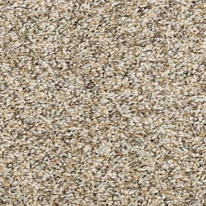 Furocious II in Soapstone Carpet