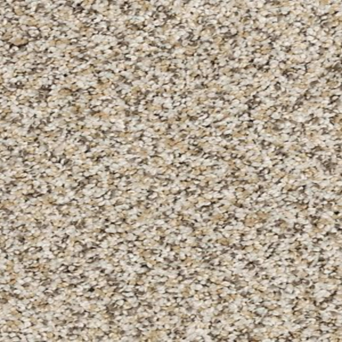 Bon A Pet Treat I in Fawn Carpet