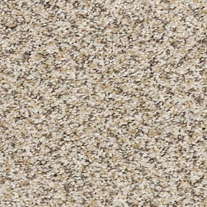 Bon A Pet Treat I in Fawn Carpet