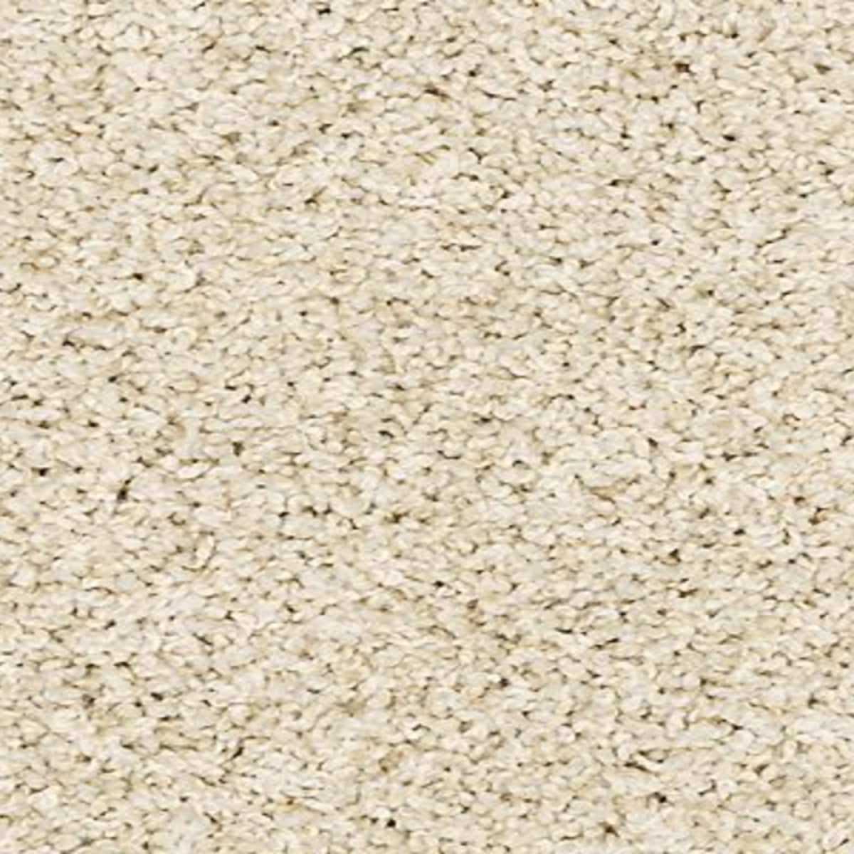 Best Furiends I in Canvas Cloth Carpet