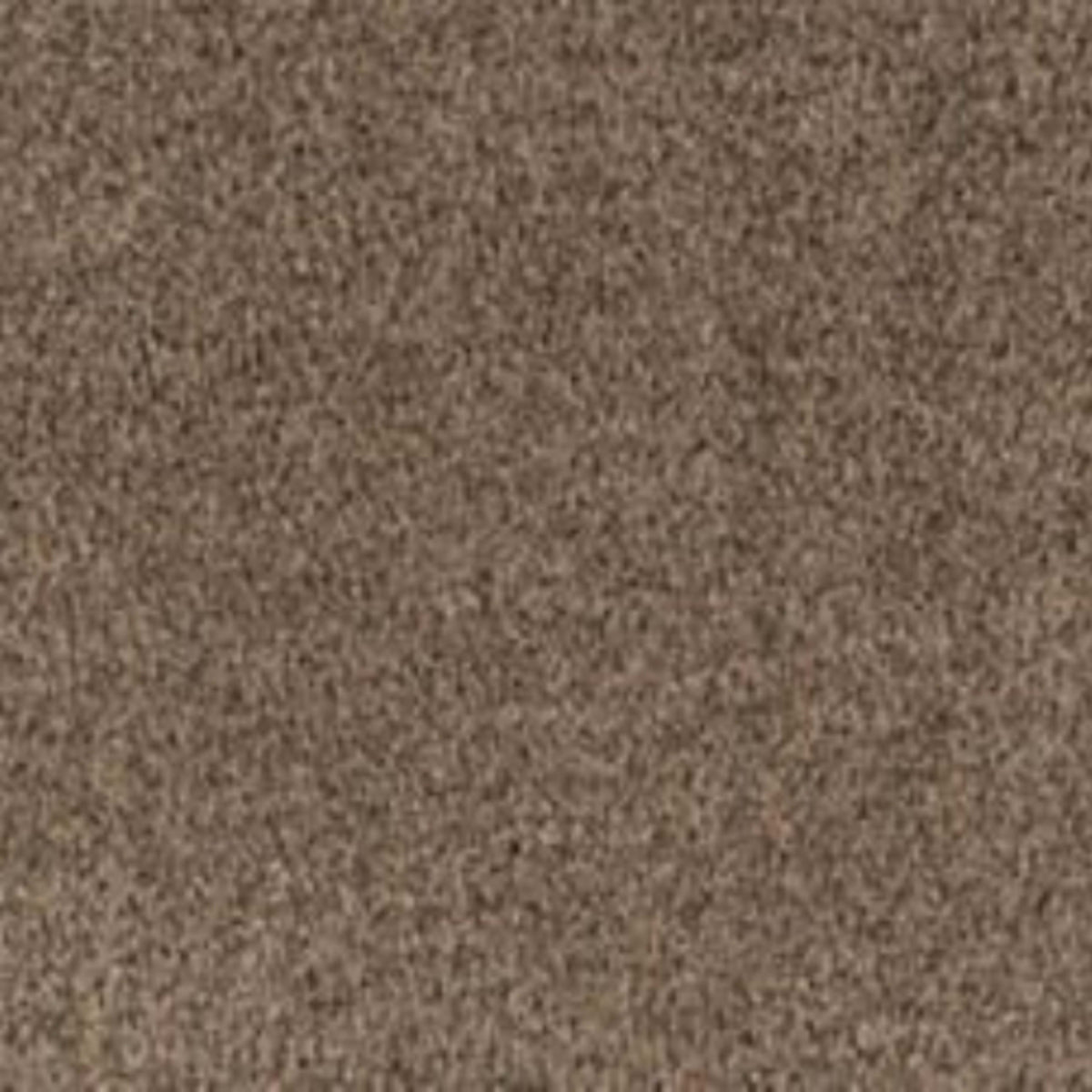 Sweet Reverie in Gentle Carpet