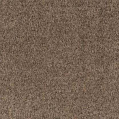 Sweet Reverie in Gentle Carpet