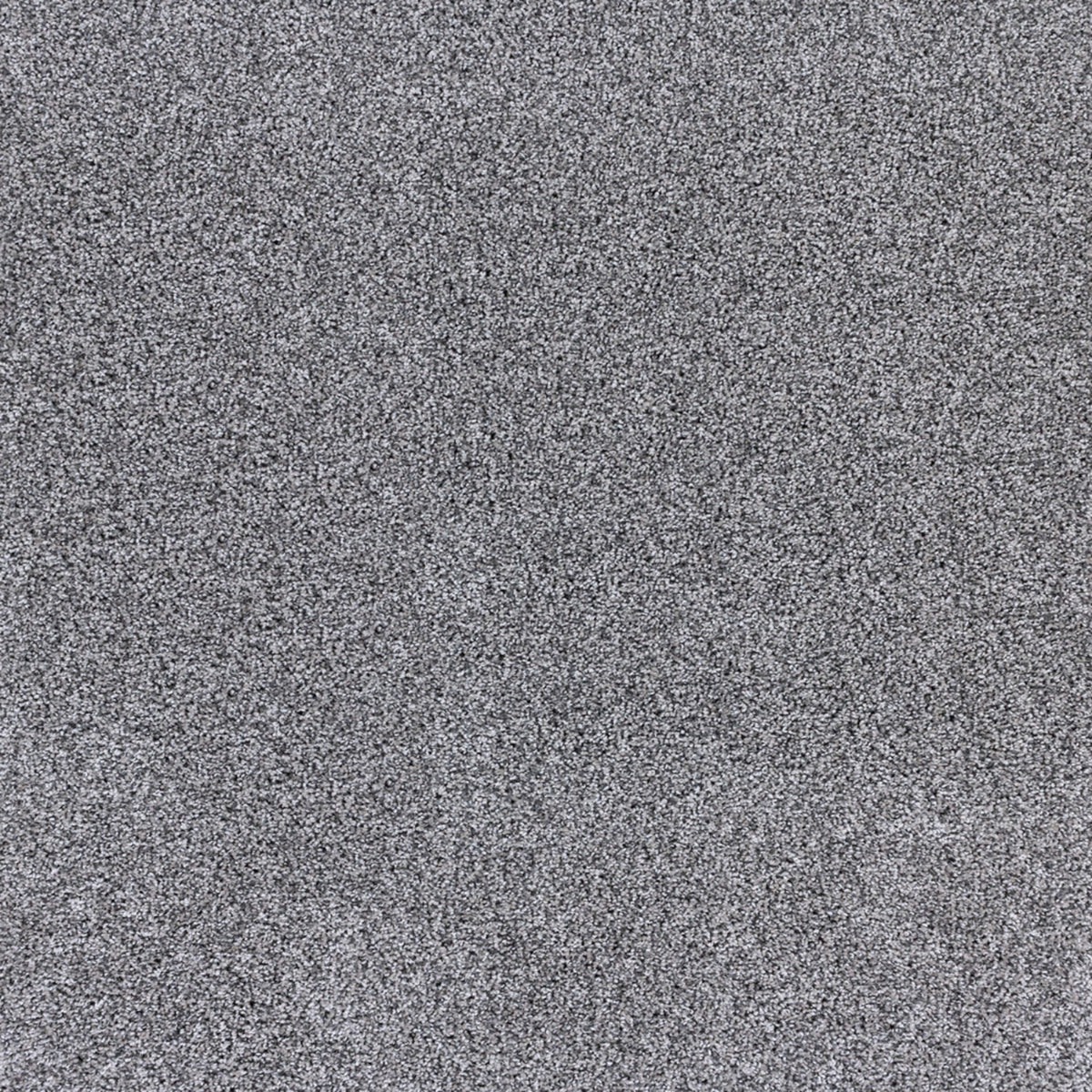 Odyssey in Infinite Gray Carpet