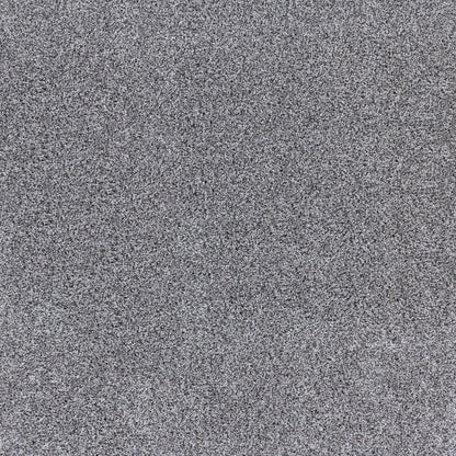 Odyssey in Infinite Gray Carpet