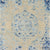 Odyssey Aasha in Aasha Area Rugs