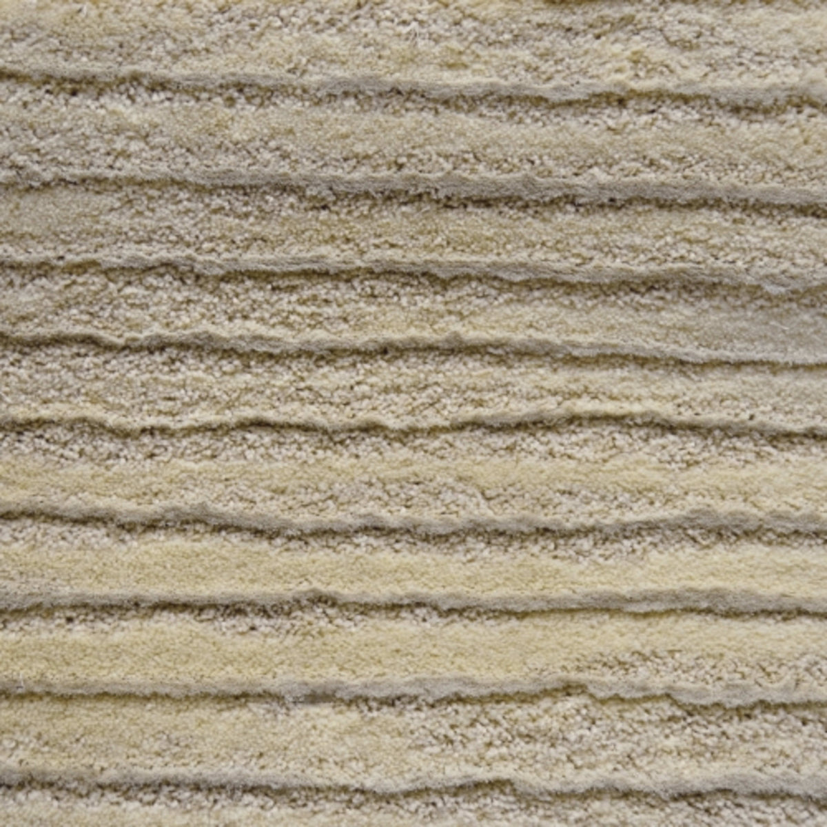 Omni in Pronto Carpet