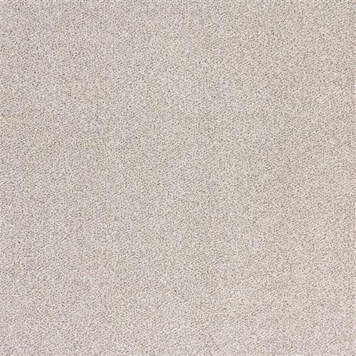 Optics in Nova Carpet