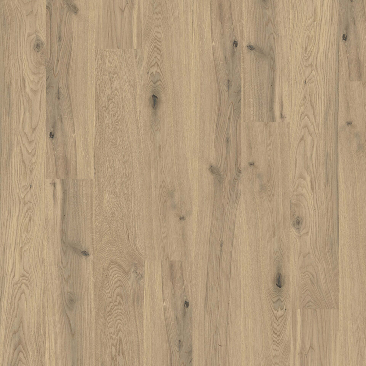 Chateau in Origine Hardwood