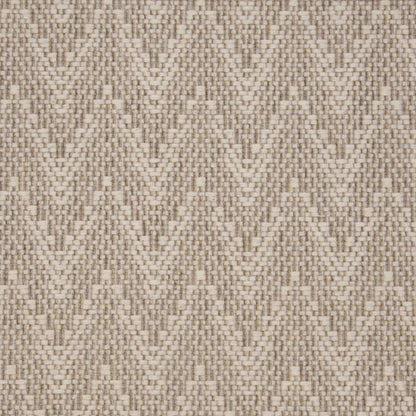 Origins in Desert Carpet
