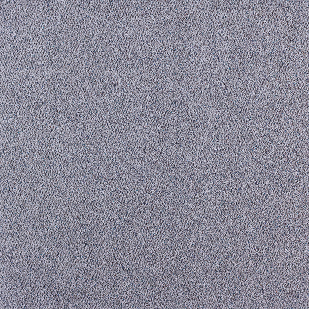 Orion in Star Power Carpet