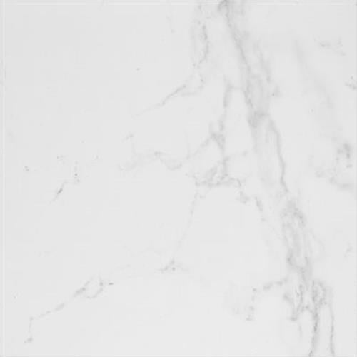 Carrara in Blanco Brillo 17x17 Tile