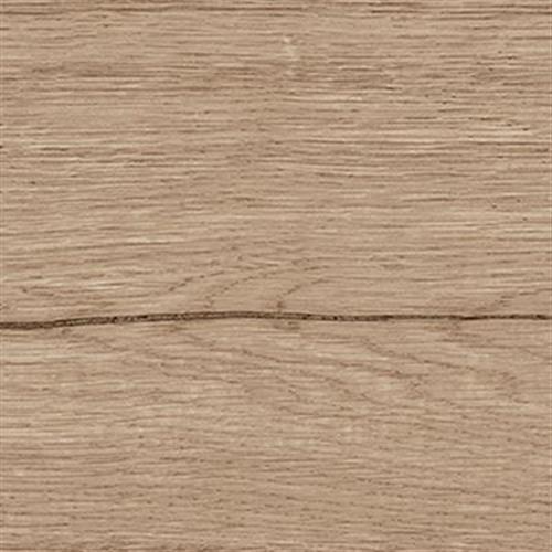 Delaware in Arce 8x48 Tile