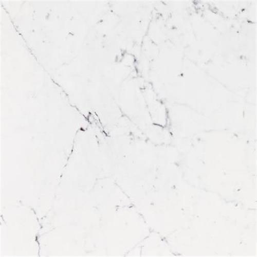 Bianco in Pulido Tile