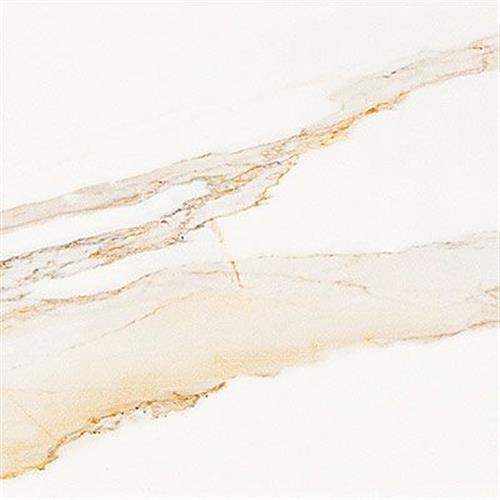 Calacata in Gold Polished Tile