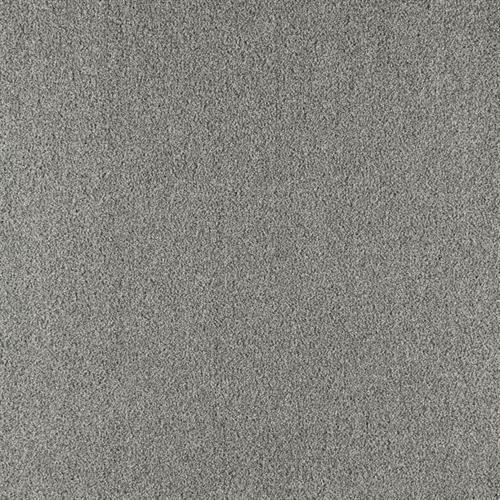 Paramount in Prime Gray Carpet