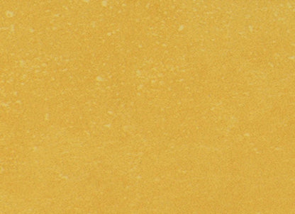 Portfolio - Vivid in Gen Z Yellow