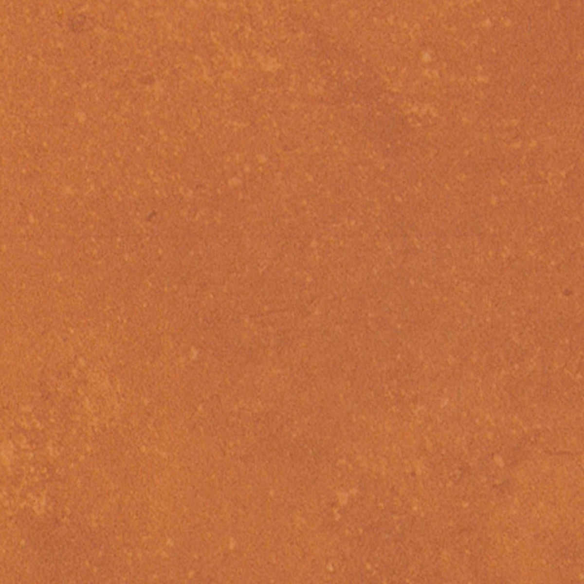 Portfolio - Vivid in Orange Burst Tile