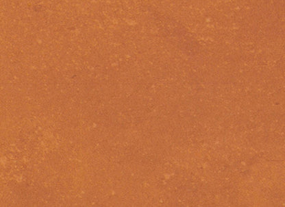 Portfolio - Vivid in Orange Burst