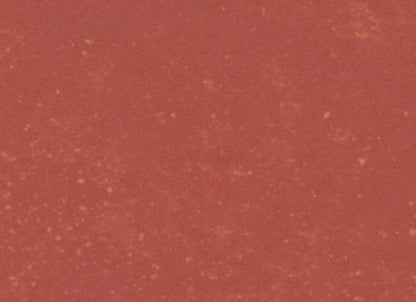 Portfolio - Vivid in Crimson Red