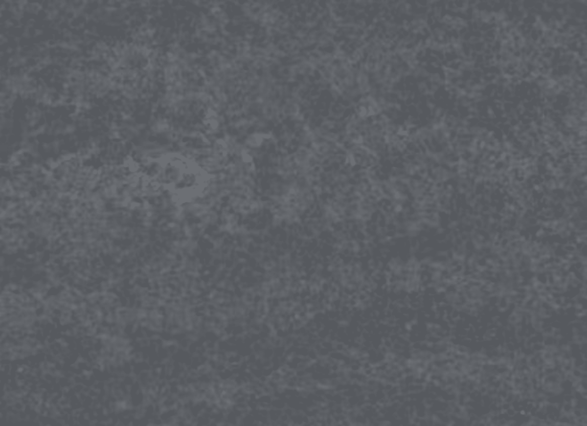 Silestone - Earthic Raw in Raw G