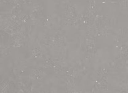 Silestone - Earthic Fform in Ffrom01