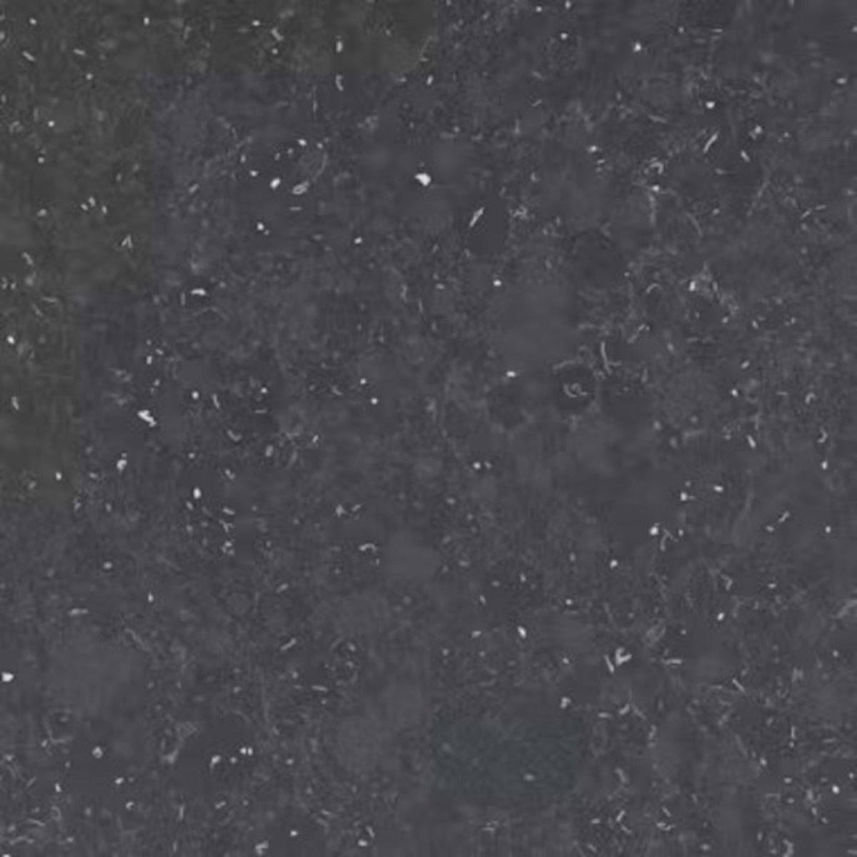 Silestone - Earthic Fform in Ffrom03 Solid Surface