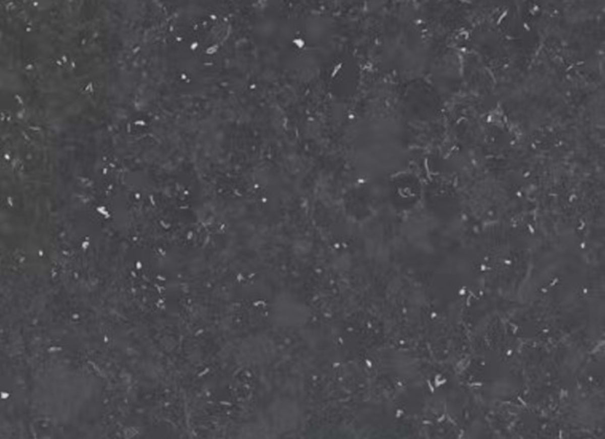 Silestone - Earthic Fform in Ffrom03