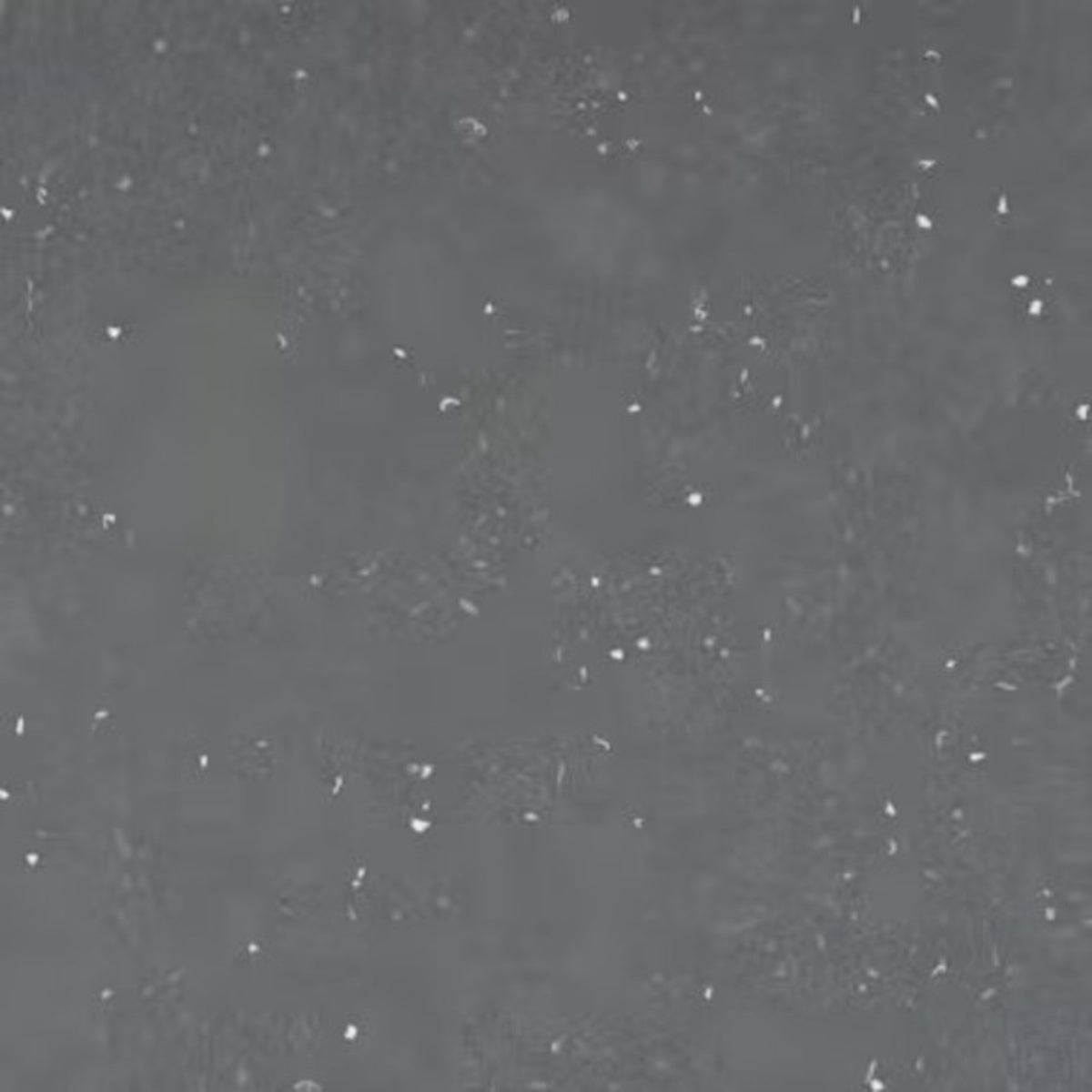 Silestone - Earthic Fform in Ffrom02 Solid Surface