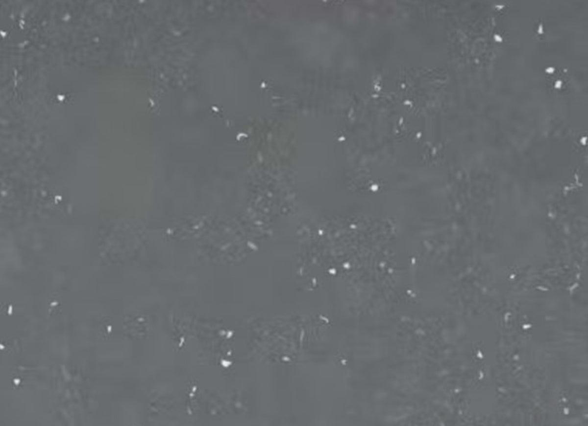 Silestone - Earthic Fform in Ffrom02