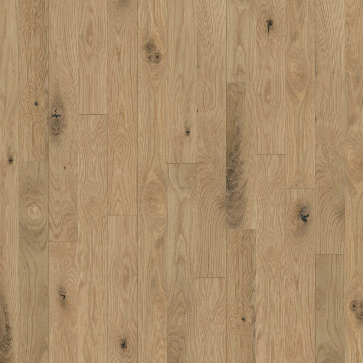 Anthem 5" in Piedmont Hardwood