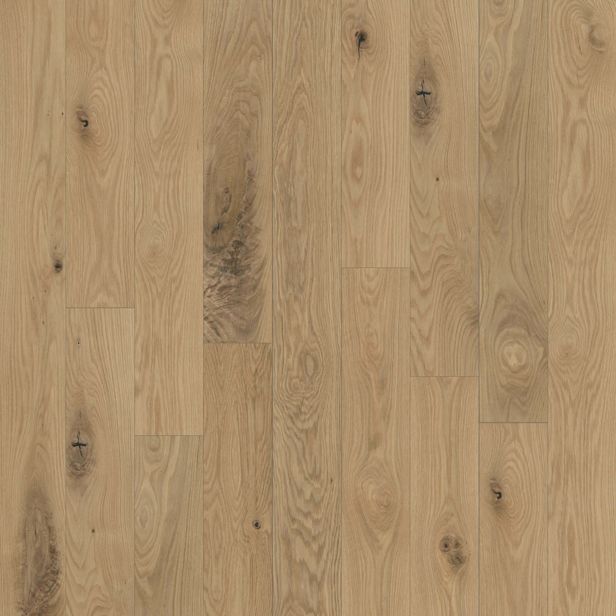 Anthem 7" in Piedmont Hardwood