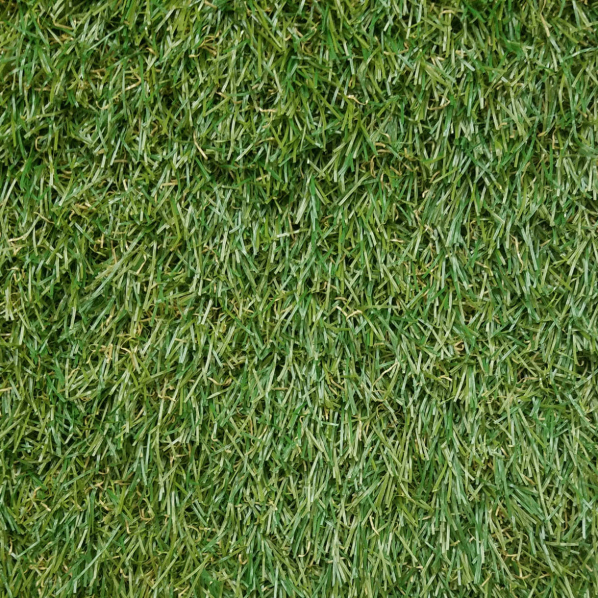 Pallermo 3431 Grass
