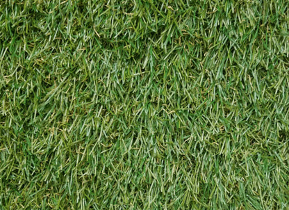 Pallermo 3431 Grass