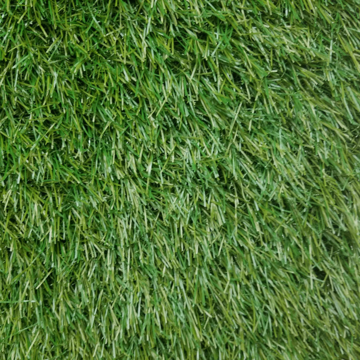 Pallermo 3431 Grass