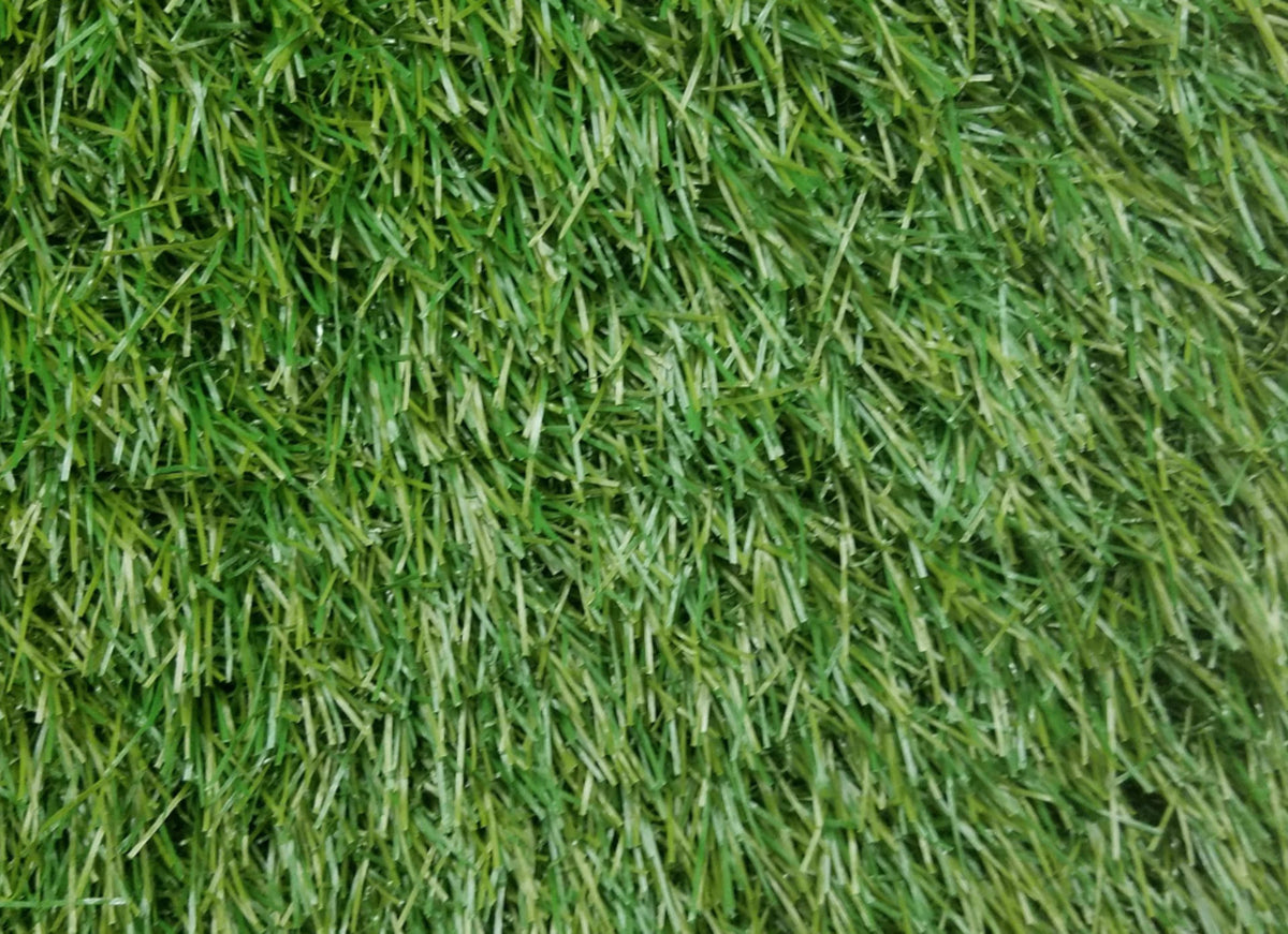 Pallermo 3431 Grass