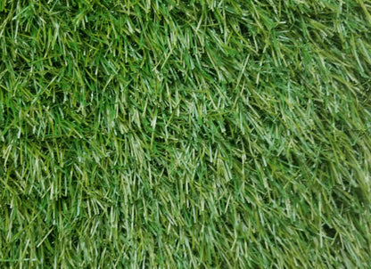 Pallermo 3431 Grass