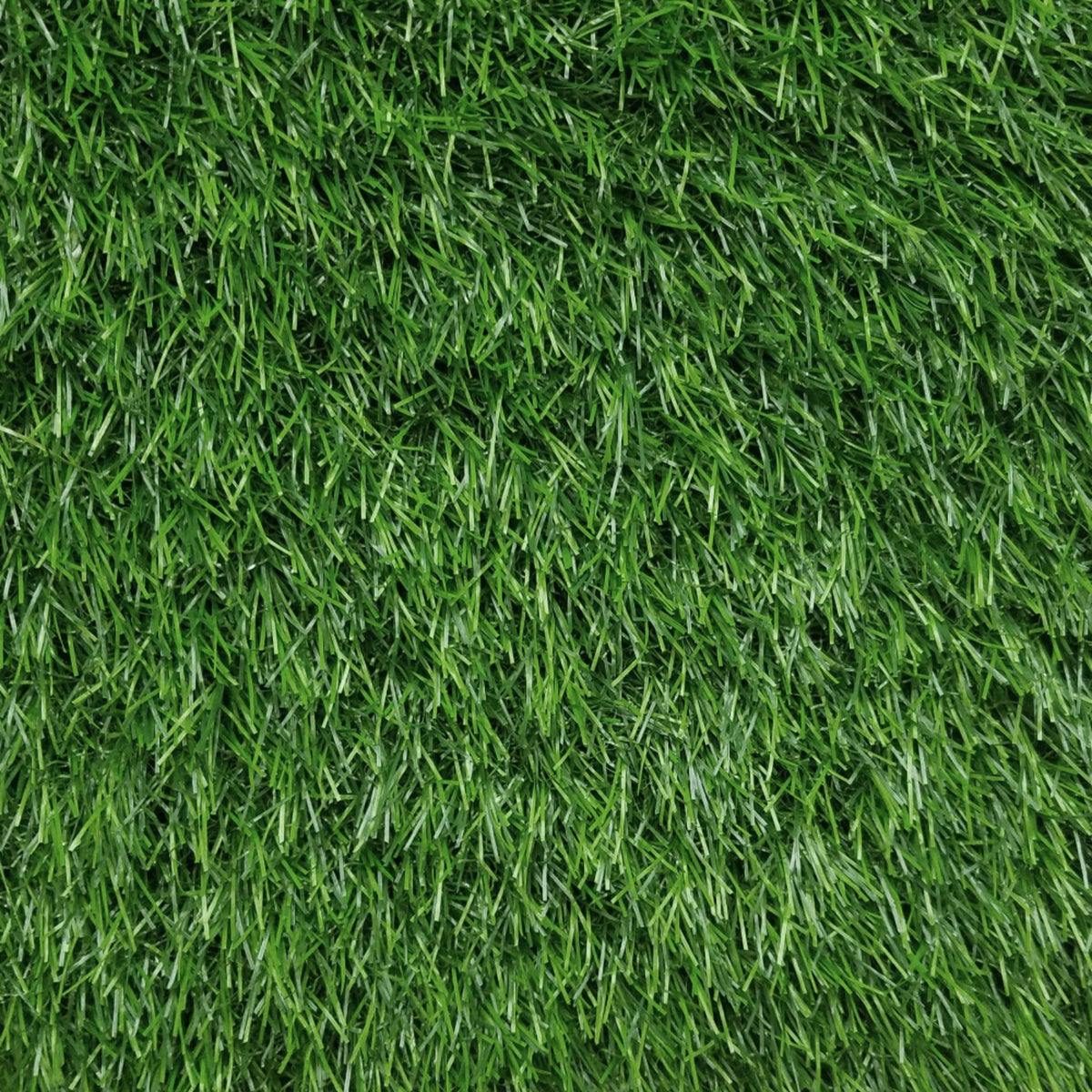 Pallermo 3431 Grass in 232 Carpet
