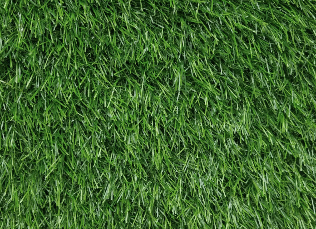 Pallermo 3431 Grass