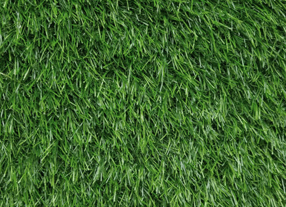 Pallermo 3431 Grass