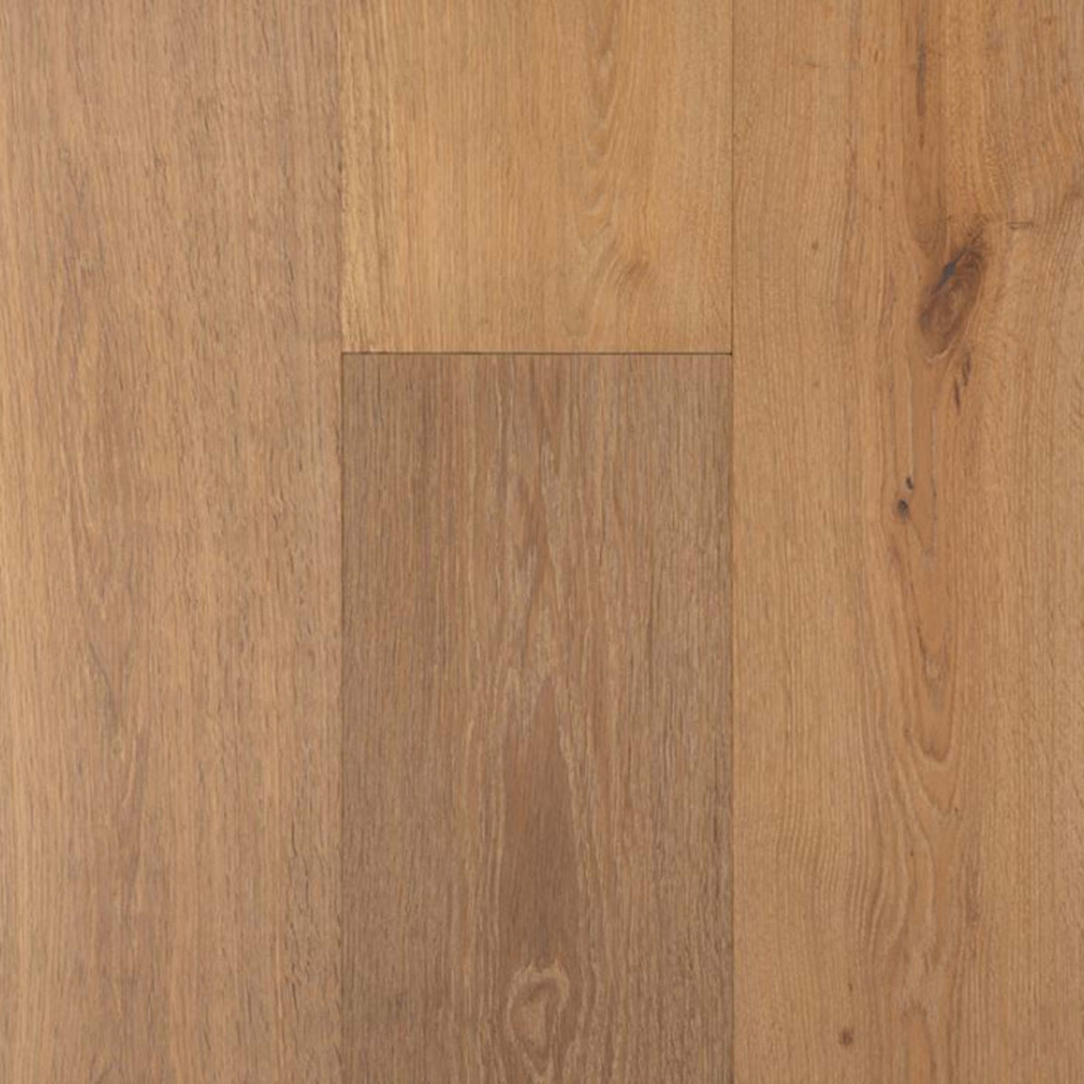 Tresor in Jolie Hardwood
