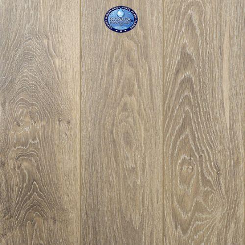 Moda Living in Dream Big Luxury Vinyl