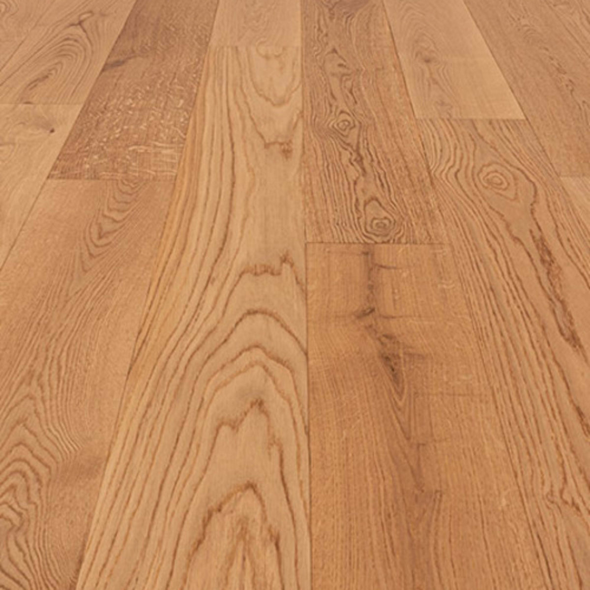Volterra in Museo Hardwood