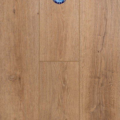 Concorde Oak in Oak Ram Luxury Vinyl