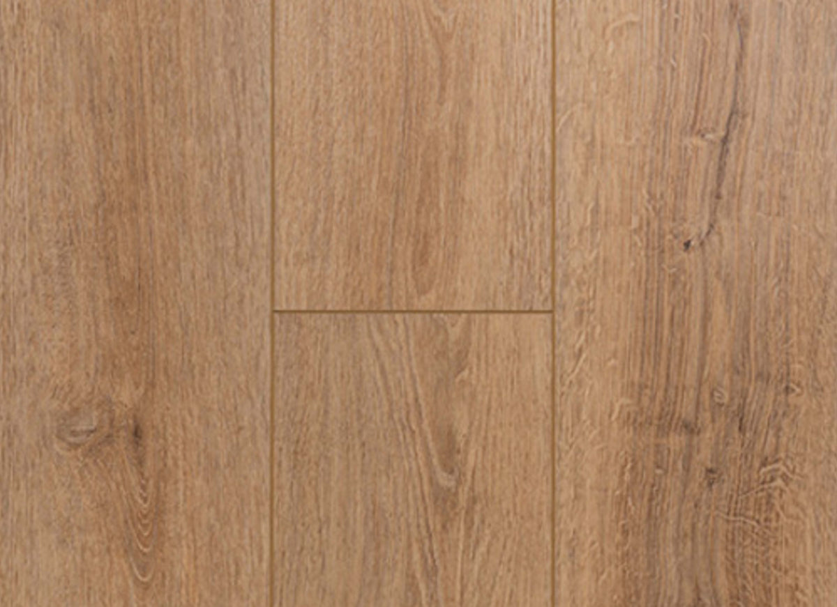 Concorde Oak in Oak Ram